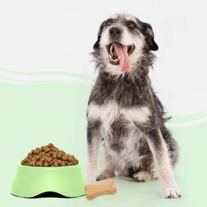 Alimentación Perros