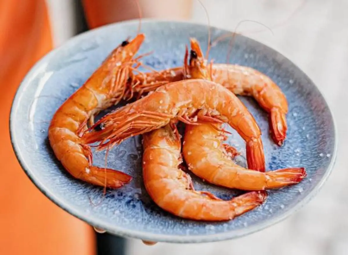 Camarão e Gambas