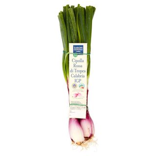 SAPORI & DINTORNI CONAD Percorso Qualità Cipolla Rossa di Tropea Calabria IGP Italia 500 g - 8003170072015