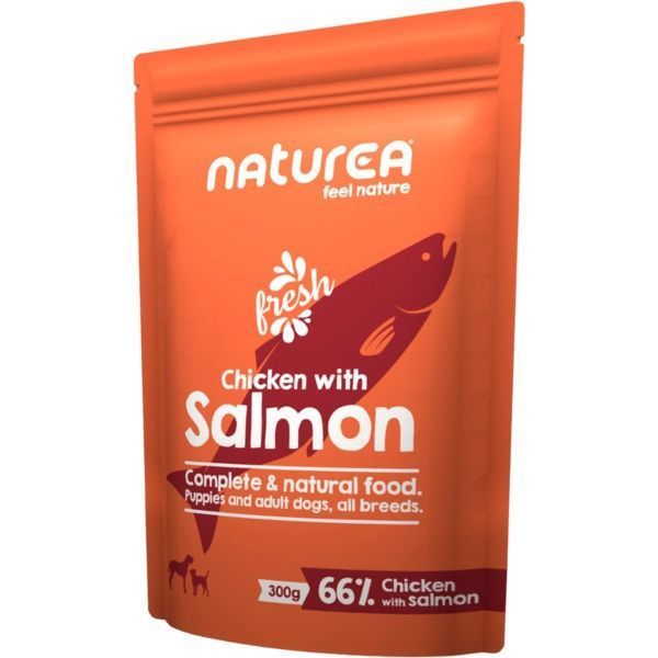 Alimentação Húmida Cão