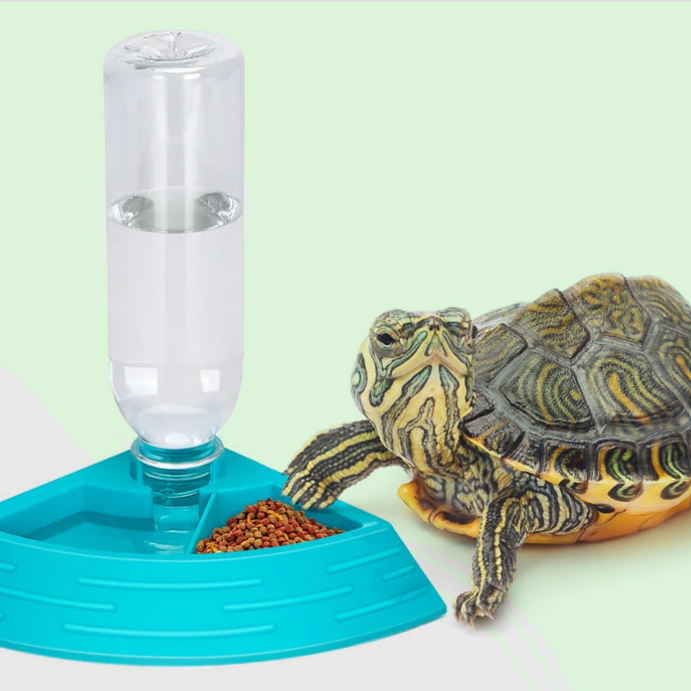 Alimentación Reptiles