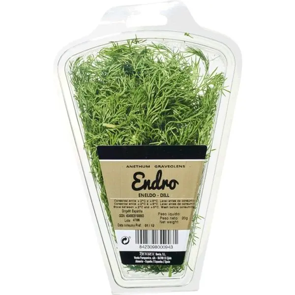 Ervas Aromáticas