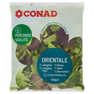 INS.ORIENTALE 125 G CONAD P.Q.