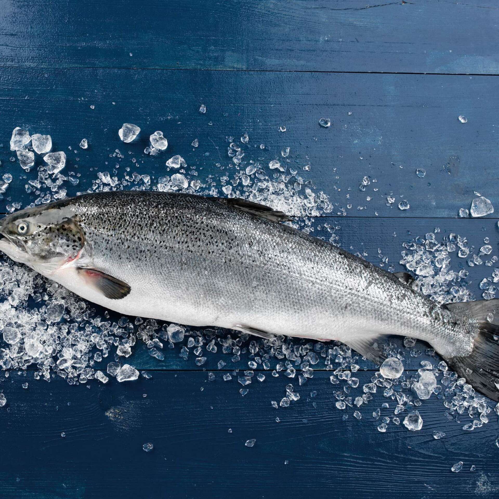 Peixe Fresco