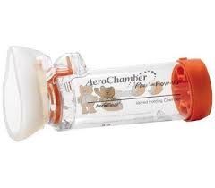 Acessórios e Cuidados