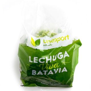 Lechugas Vivas (Entre 300/500 G)