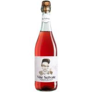Vino Rosado Italia Lambrusco Vite Selva 75 Cl. (11033891)