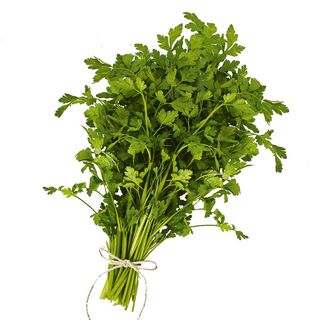 Pietruszka natka XXL 1 szt.