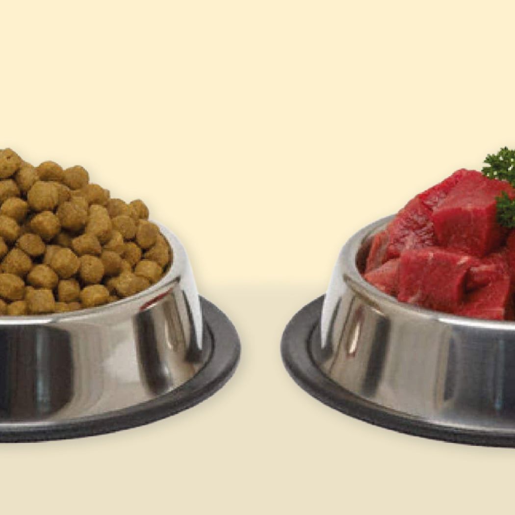 Alimentación Perros