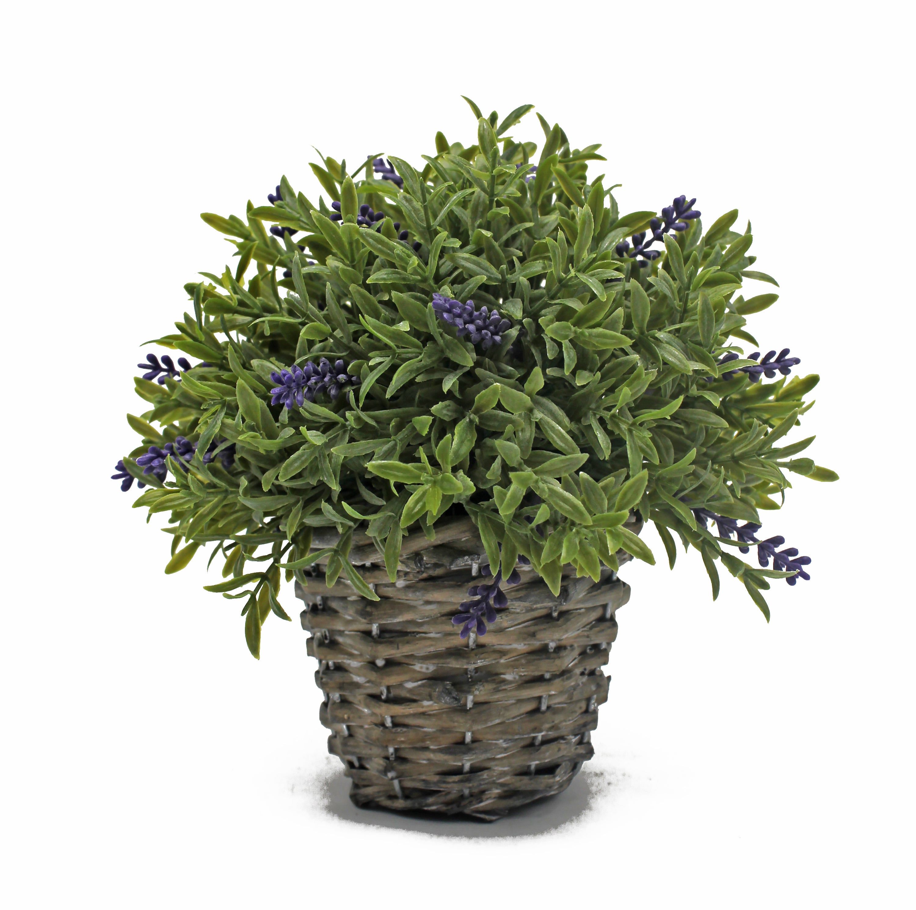 Decoração de Jardim