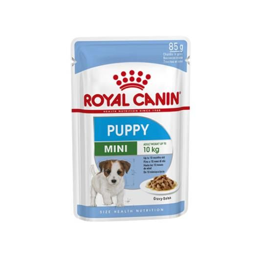 Alimentação Húmida Cão