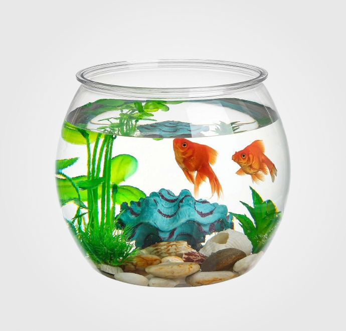 Accesorios y Complementos Peces