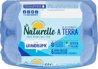 Uova Xl All. Terra X6