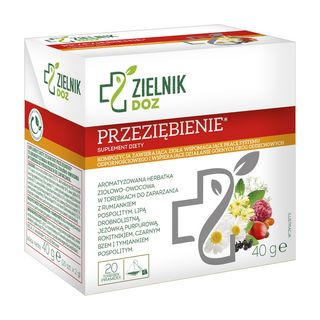 Zielnik DOZ Przeziębienie, herbatka owocowa-ziołowa, 2 g, 20