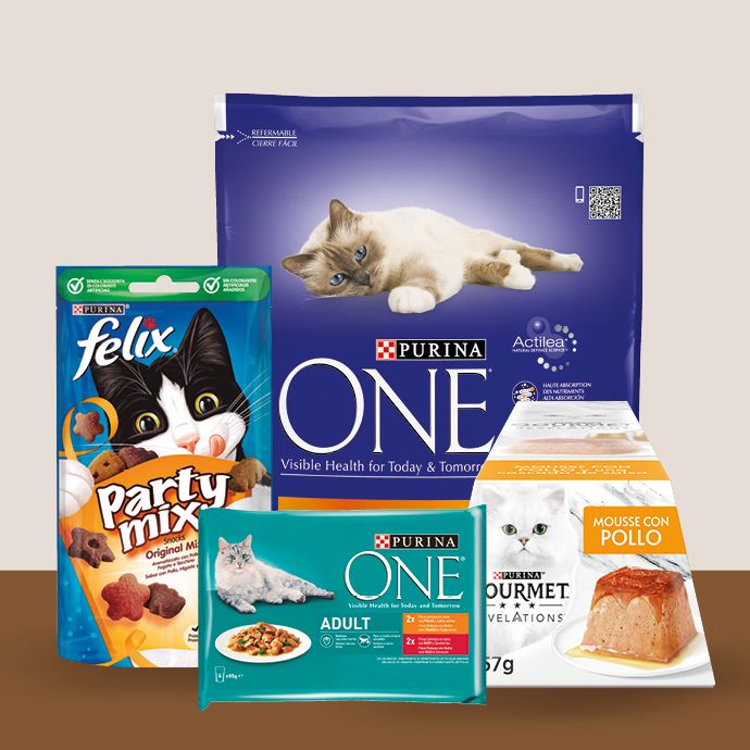Alimentos y Artículos para Gatos