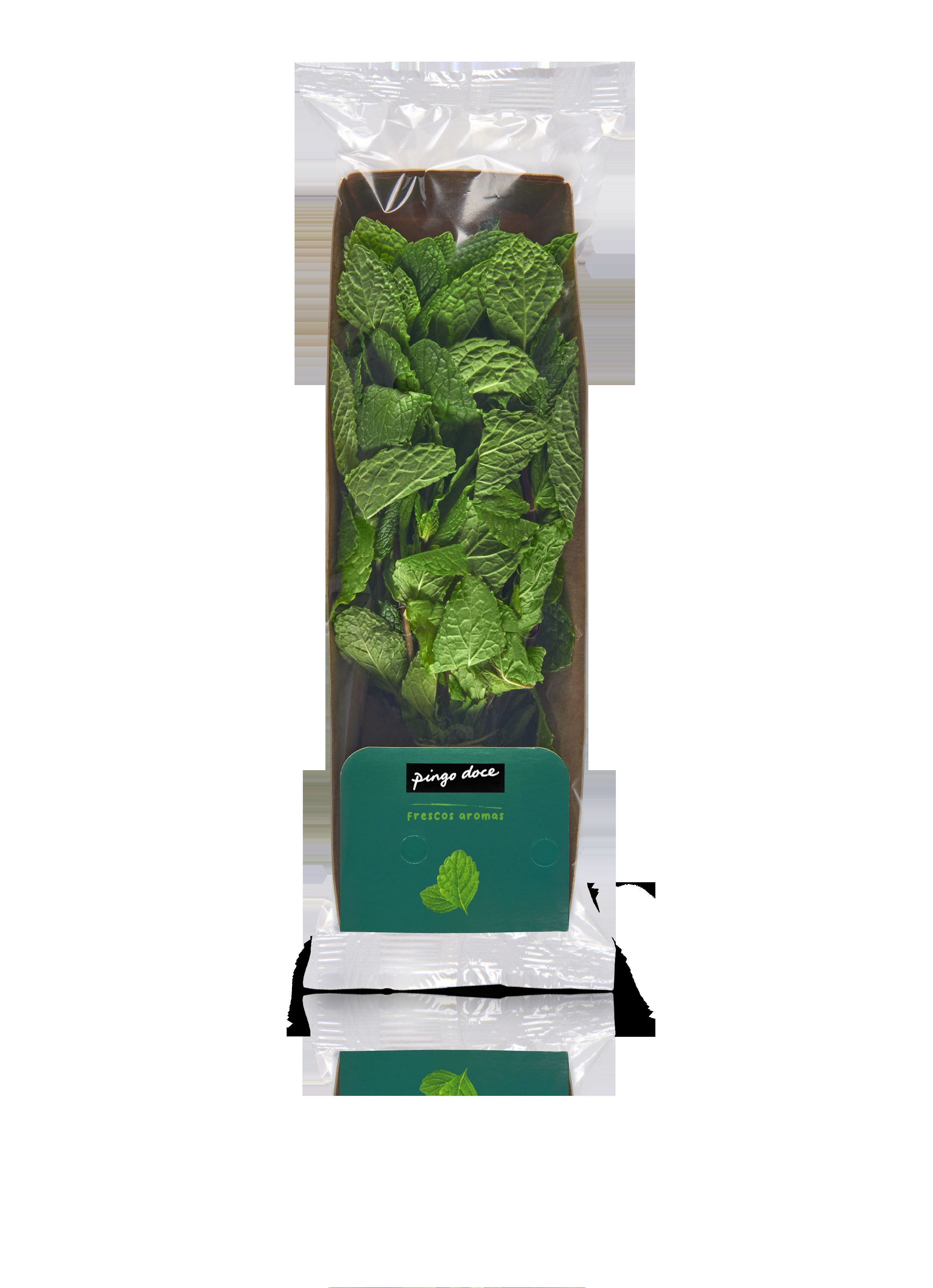 Ervas Aromáticas