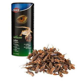 Trixie Grillos Deshidratados Para Reptiles Y Erizos 0.025Kg