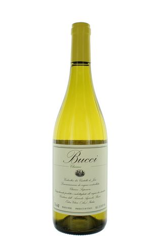 VERDICC.JESI DOC VIL.BUCCI C75- 230730