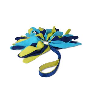 Coachi Tuggi Spider juguete con flecos para perros