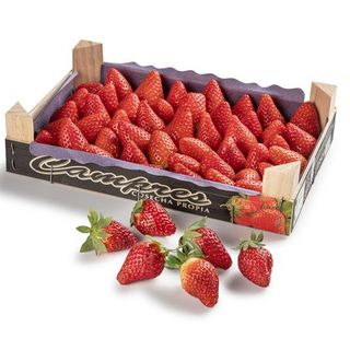 Campres Freson, Caja 1Kg