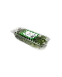 Ervas Aromáticas