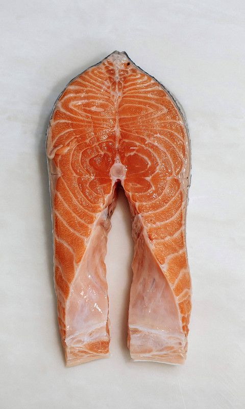 Salmão e Atum
