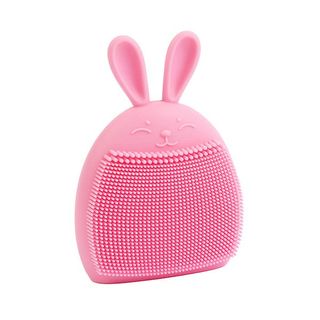 1699 Bunny Kiss 1456824