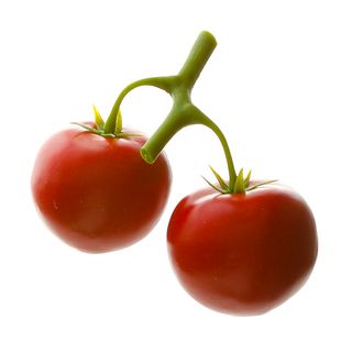 Frutto sintetico - 2 pomodori