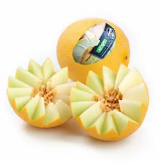 Melon Galia Carrefour