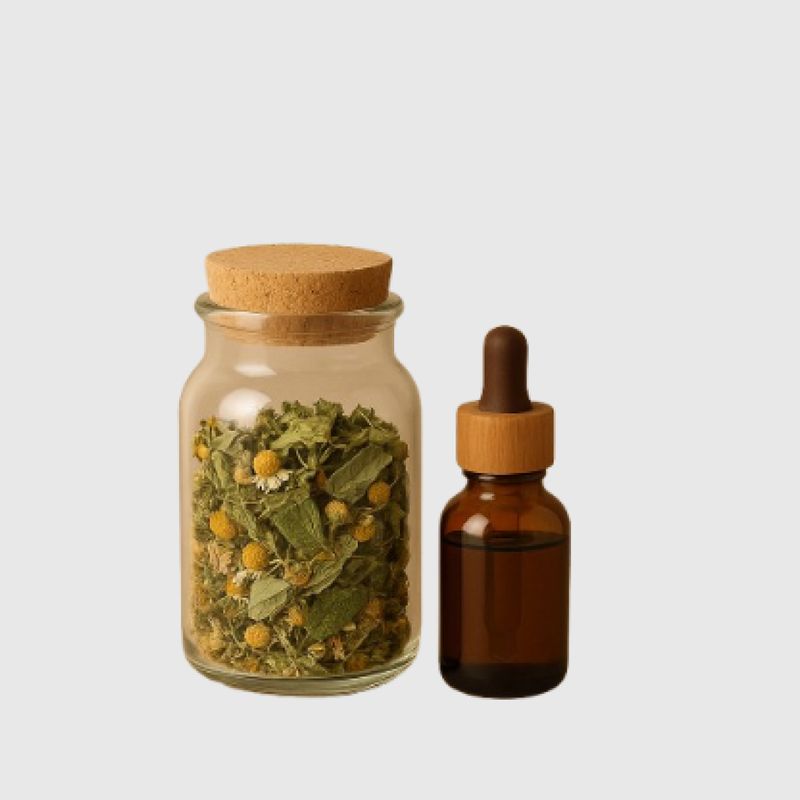 Plantas y Fitoterapia