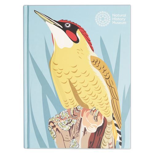 Desenho e Trabalhos Manuais