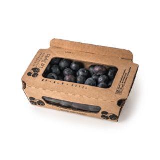 Arandanos Bja. 125Grs Eco