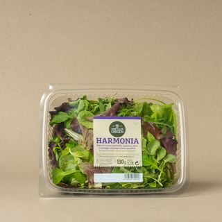 Harmonia 130Gr
