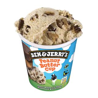 Ben & Jerry' Gelato Peanut Butter 465ml