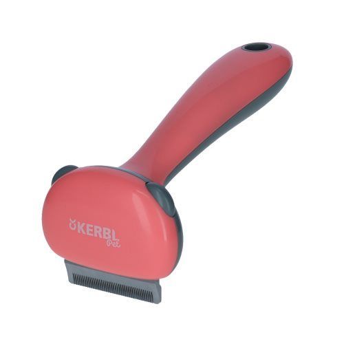 Saúde e Higiene Gato