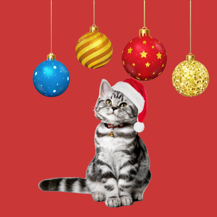 Gatos Navidad