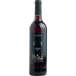 NUESTRA SEÑORA UJUE Vino Tinto Do Navarra Crianza 0 75 L