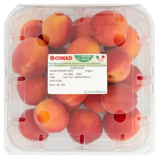 CONAD Percorso Qualità Albicocca Orange Rubis Italia Cal: 40/45 1000 g - 8003170058521