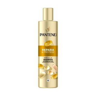 Champú Repara&Protege PANTENE MIRACLES, bote 250 ml (304610)