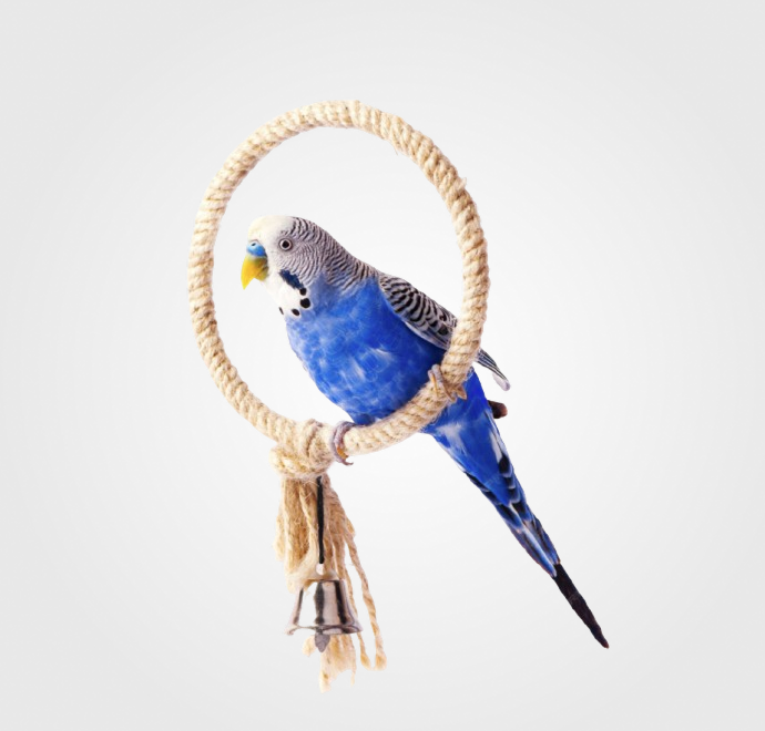 Accesorios y Complementos Pájaros