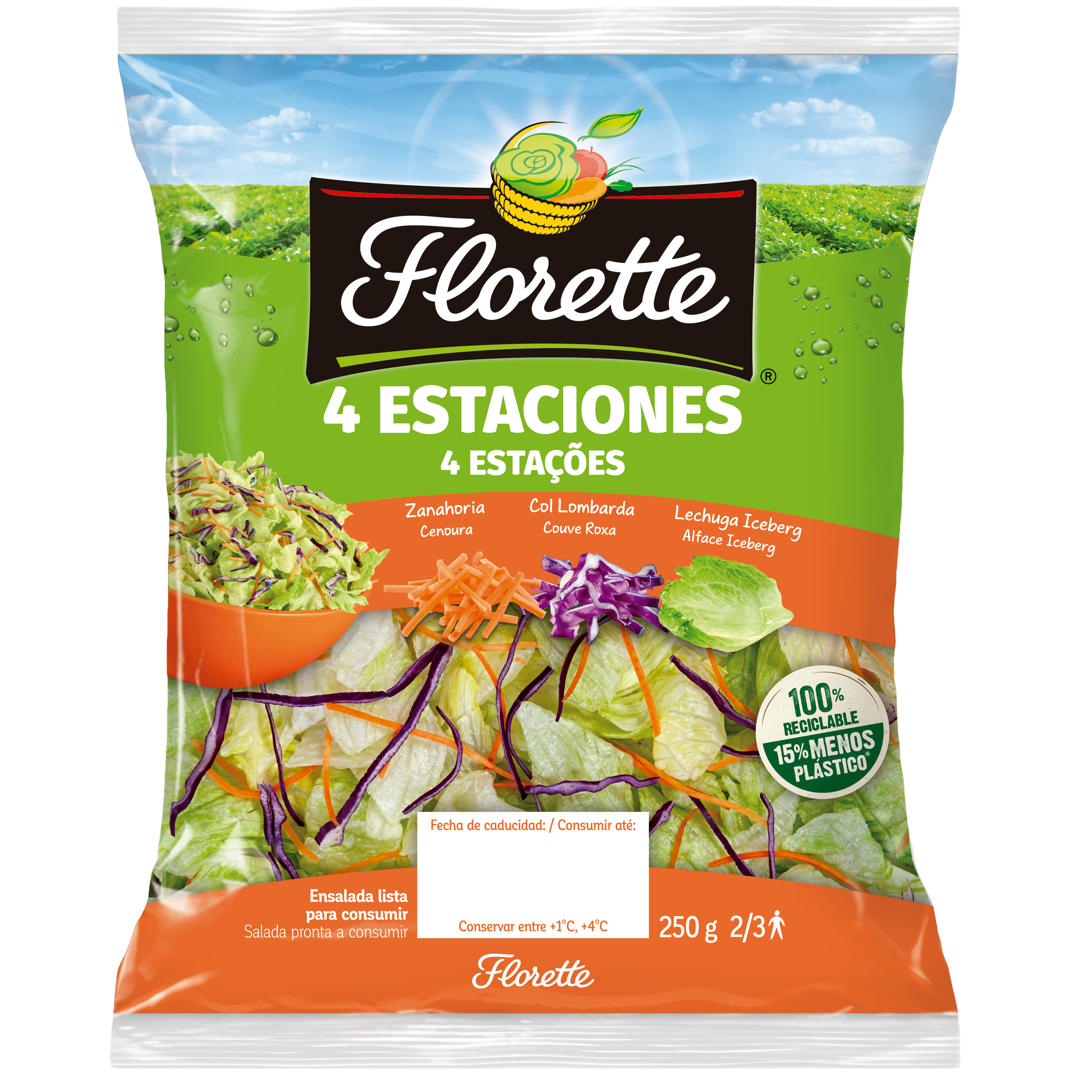 Salada, Preparados e Salteados