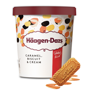HAAGEN DAZS Helado Caramel Biscuit&Cream 460Ml