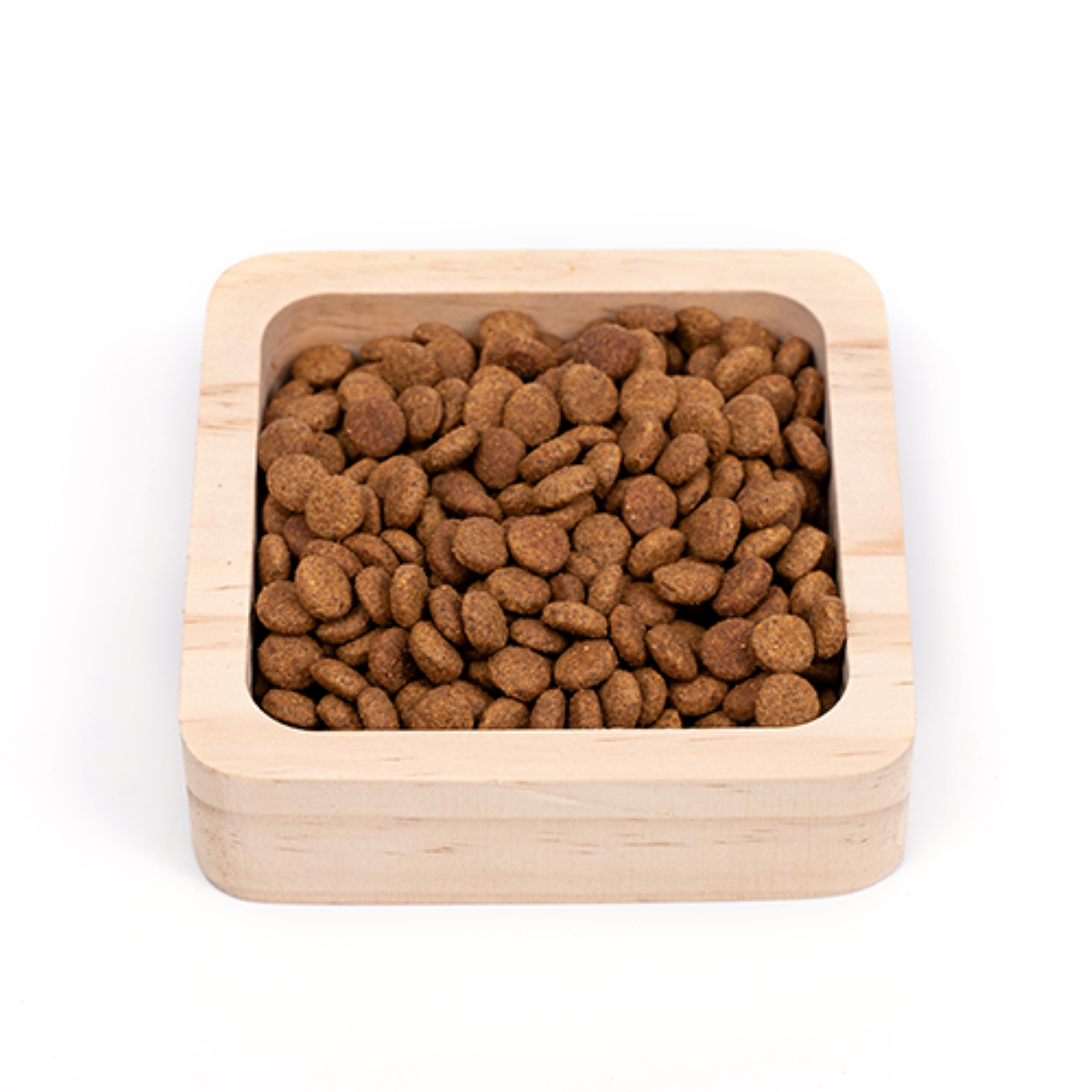 Sucha karma dla Kota