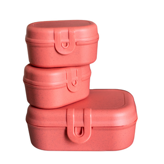 LUNCH BOX SET CORAL