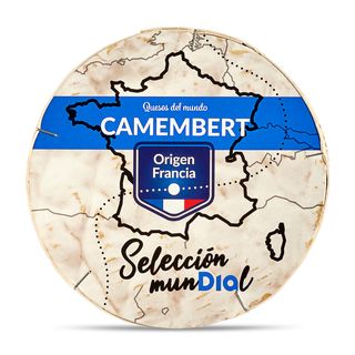 Queso Camembert Selección Mundial De Dia Tarrina 250 G