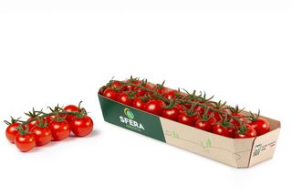 Sfera Agricola Sfera Agricola Pomodori Std Vasch. Ciliegia 1 00300 Italia Gr Nobio I Gamma