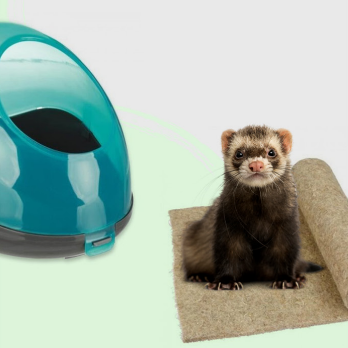 Salud e Higiene Roedores