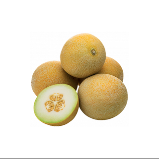 Meloa Galia - unidade 1,1KG