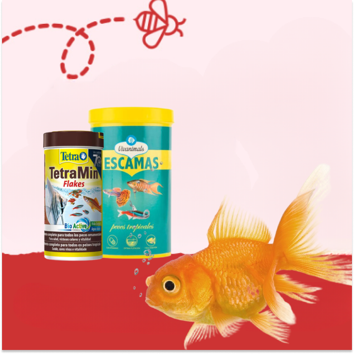 Alimentación Peces
