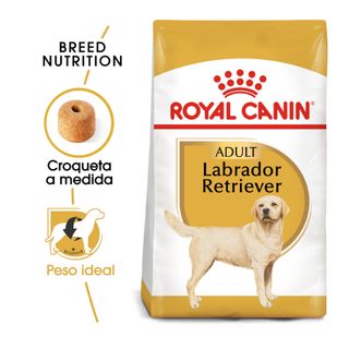 Royal Canin Adult Labrador Retriever Pienso Para Perros 12Kg